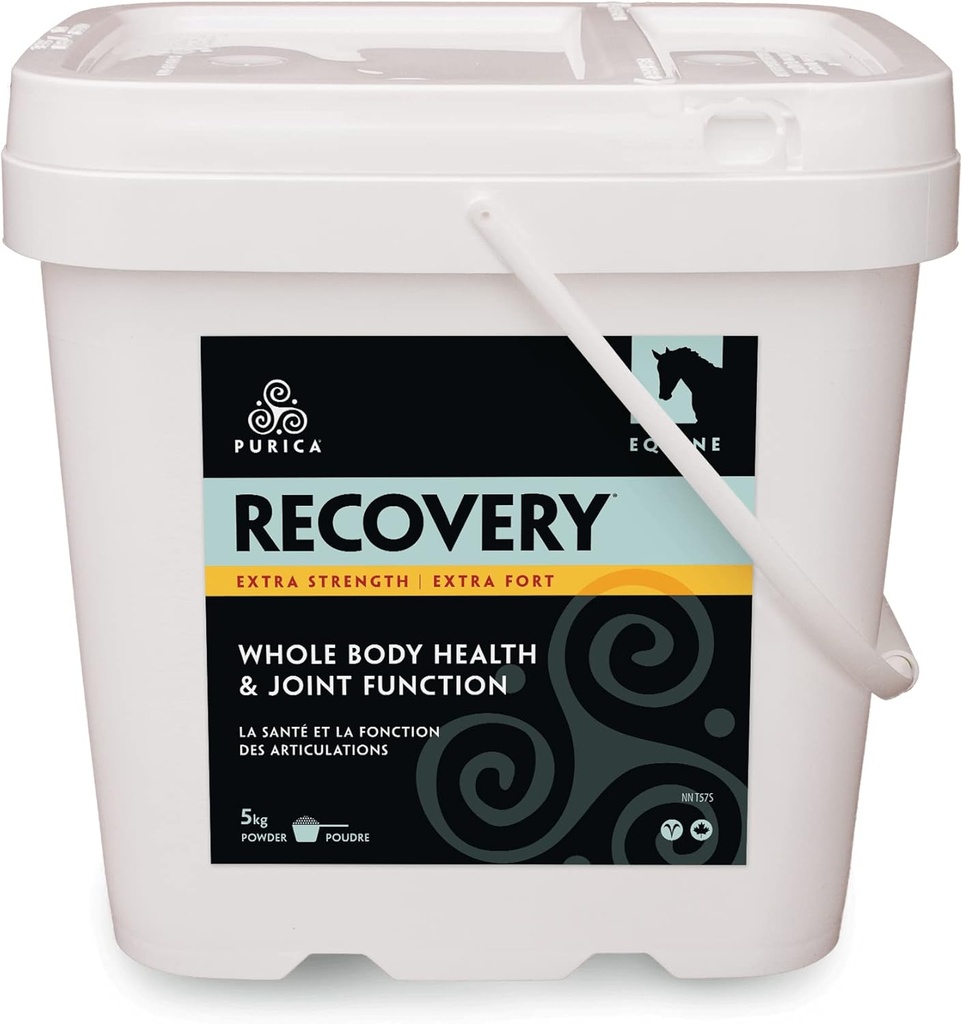 PURICA Recuperare Putere suplimentara - Supliment comun Equine - Suport cuprinzător pentru cai - Supliment comun ideal pentru cai seniori, MSM pulbere inclus - 11 lb pulbere