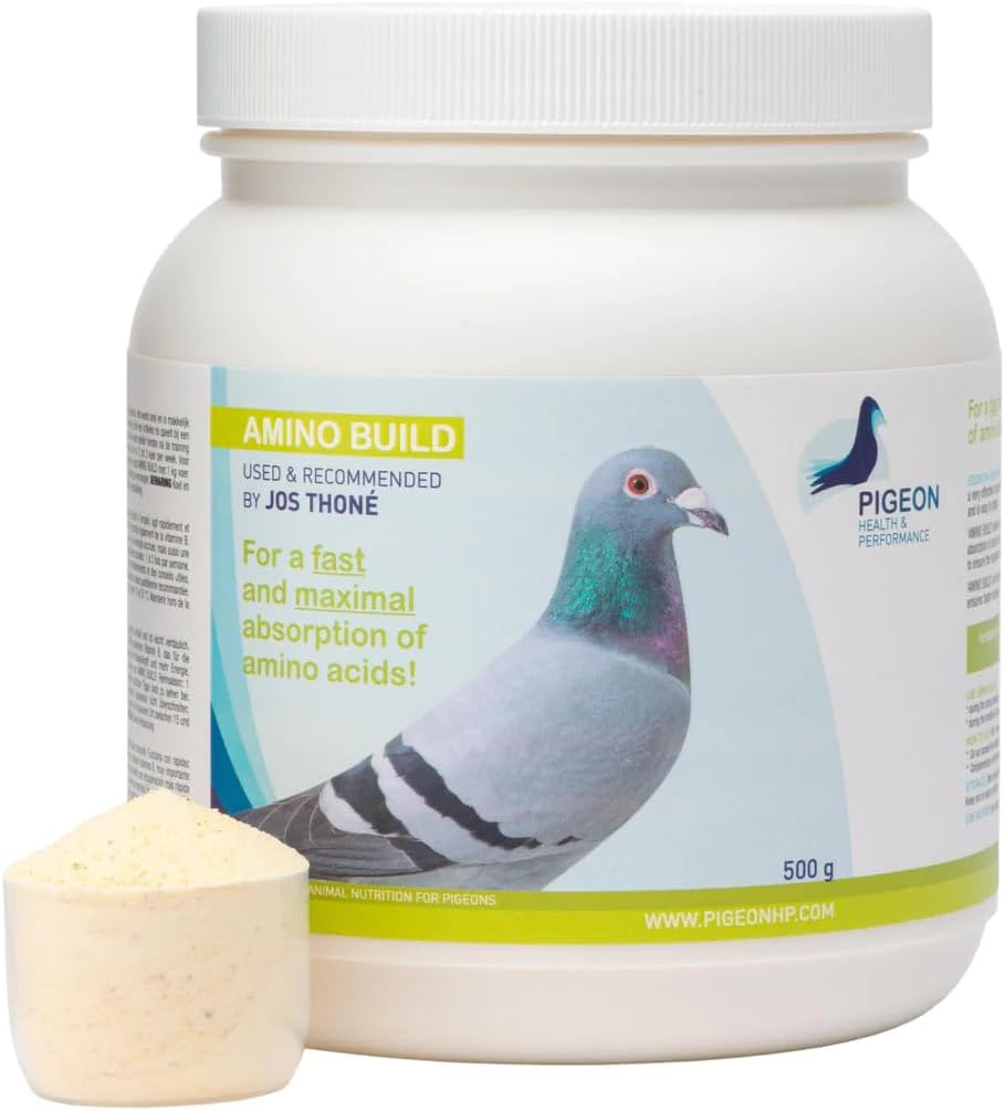 Generic PHP Amino Build 500g - Aminoacidi de constructie musculara