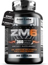 Laboratoare de fier ZM6 