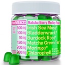 Moringa Irish Sea Moss Clorofill EGCg Green Tea Brudock Root Bladderwrack Super Greens Gummies, capsule de pulbere pastile lichide Picături de ulei Tinctură Suplimente Alt, Seamoss verde organic