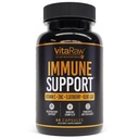 Suport imun Vitamine - Elderberry cu zinc, vitamina C, și usturoi pentru adulți - Sambucus Black Elderberry capsule & Echinacea Imunity Reînnoirea Complex