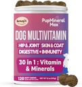 Dog Multivitamine Soft Chews - 120 Conte - Dog Joint Supplement, Digestive, Immun, Skin, Coat - Combinat vitamine avansate pentru câini, Toate vârstele câinilor - Made in USA