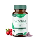 Pastile de cranberry - Tract urinar Health Supliment de cranberry - 36mg de PAC potent - non OMG, Vegan, Gluten gratuit - de Heale - 30 capsule