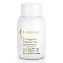 Biogena Pycnogenol 100 mg aur cu extract de scoarță franceză de pin marin (Pinus Pinaster) Premium patentat pentru a sprijini circulaţia sângelui