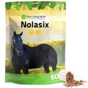Silver Lining Herbs Nolasix Lung & Circulație Suplimente pentru cai 