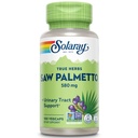 SOLARAY Saw Palmetto Berry 580 mg, Healthy Prostate and urinar Tract Support from Fatty Acids & Plant Sterols for Men and Women, Non-GMO, Vegan & Lab Verified, 100 VegCaps, 100 Servings