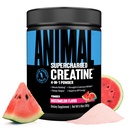 Animal Supercharged Creatina pulbere - aroma Creatina Monohidrat imbunatatit cu betaina Anhidru, PurpleForce & Senactiv, Putere, Rezistenta, Recuperare musculara pentru barbati si femei - Pepene verde, 300g