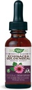 Natura's Way Premium Formula Echinacea-Goldenseal, 250 mg per servire, 99.9% Alcool-Free, 1.01 Oz.