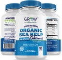 Sea organică Kelp (Icelandic) îmbunătățit - Pur sănătos suport tiroidian Suplimentul natural de iod w/Organic Sea Kelp, albastru-verzui Algae & Red Algae - Sistem imunitar și suport metabolic - 90 capsule