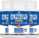 15-in-1 Alpha GPC Supliment cu fosfatidilserină, Uridină, L-Teanină, Ciupercă cu coamă de leu, 180 capsule
