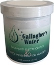 Gallagher's Water Electrolytes and Trace Minerals for Horses, 1LB