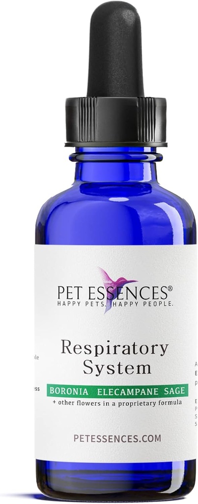 Sistemul respirator pentru câini, pisici și cai