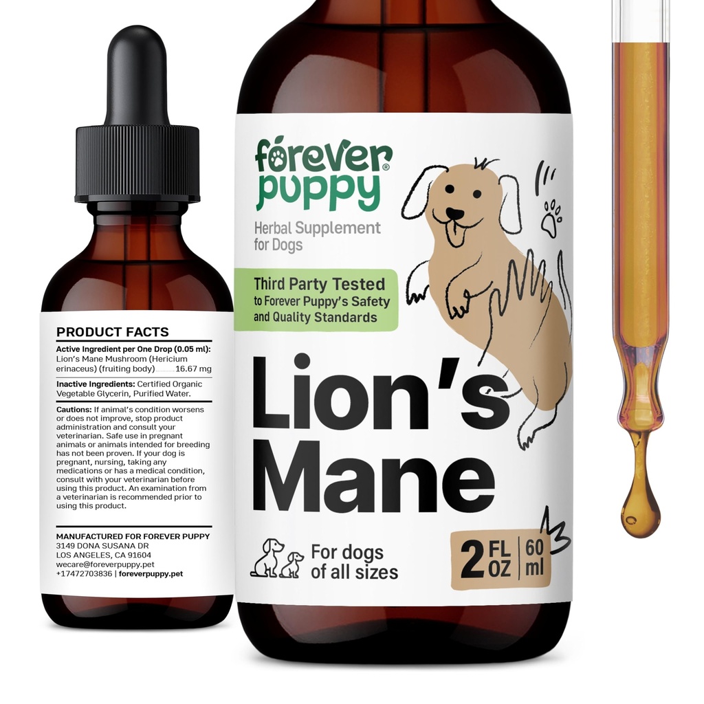 Pentru totdeauna Puppy Lions Mane Mushroom Supliment pentru câini - Brain & Focus Support - Liquid Lion's Mane Mushroom pentru câini - Canin Vitamine și suplimente - Zahăr și alcool-Free Drops - 2 fl oz