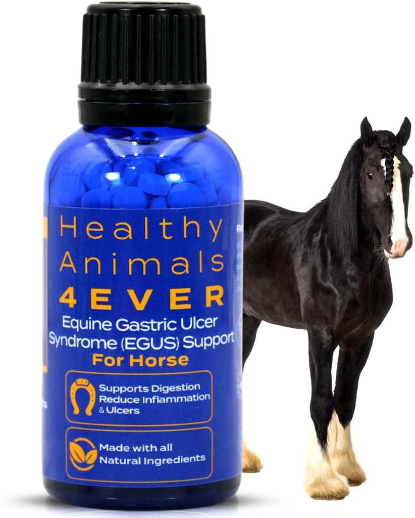 HA4E - Cai Probleme respiratorii de sprijin - ajută la prevenirea heaves, alergii și infecții 