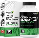 Reînnoirea Active Extract de cafea verde de mare potențial - 800mg per servire extract de cafea verde cu 50% Acid clorogen pentru beneficii antioxidante - Made in Canada - 90 capsule Vegan