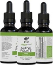 Folate pure supliment de extract lichid - L-metilfolat pentru o mai bună absorbţie, sănătate cerebrală, îmbunătăţirea funcţiei celulare, sistem imunitar de sprijin, Complex B solubil de apă, 1 oz - de Ziggy Health