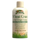 Grădină Verde de grâu Iarbă lichid cu extract de ghimbir real, Superalimentul perfect al naturii, 32 porţii