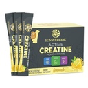 Creatine Monohidrat pulbere Micronited PreWorkout Recovery Suplimentul de sprijin musculare Clădire Putere de formare Cogniție 