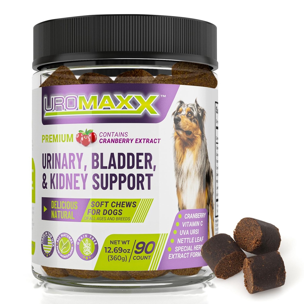 Dog Infectie tract urinar tratament, Bladder & Rinichi de sprijin pentru câini, Îngrijire puternica pentru animale de companie, Natural Soft Chews cu cranberry & Glucosamină, Made in the USA, Aroma de pui, 90 Conte, 1 Pack