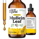 Mulein Tinctură sălbatică și organică - Lung Cleanse și detox - Extract de frunze de Mullein lichid pentru plămâni cu Echinacea - Verbascum Thapsus picături - Vegan, Sugar & Alcool - 4 fl oz