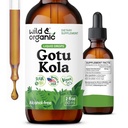 Wild & Organic Gotu Kola Herb Tincture - Brain Support - Gotu Kola lichid de extract picături - Vegan, Sugar & Alcool-Free Centella Asiatica Supliment - 2 fl oz