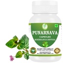 Capsule Punarnava (Boerhaavia Diffusa) 500 mg 