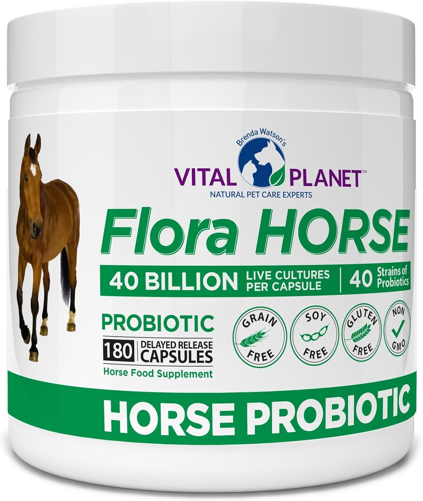 Planeta Vital - Flora Horse Probiotic, Probiotice de mare potenta Equine cu prebiotice, 40 Miliarde Live CFU din Multiple Strais, Digestive şi Immune de sprijin, 180 capsule de eliberare întârziate (180 zile)
