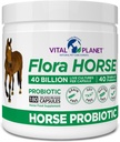 Planeta Vital - Flora Horse Probiotic, Probiotice de mare potenta Equine cu prebiotice, 40 Miliarde Live CFU din Multiple Strais, Digestive şi Immune de sprijin, 180 capsule de eliberare întârziate (180 zile)