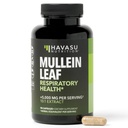 Capsule cu frunze de Mullein pentru sanatate respiratorie - 5000 mg Extract 10:1 pentru suport pulmonar si functie imuna - 90 Conte - Capsule Vegane, non-GMO - Supliment vegetal pentru wellness zilnic - 3 luni de aprovizionare