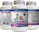 Bad Respirație pisica tratate - CAT Dinți Sănătate - Advanced Mouth Health Complex - Boost imunitar - biotina pentru pisici - 1 flacon (60 comprimate)