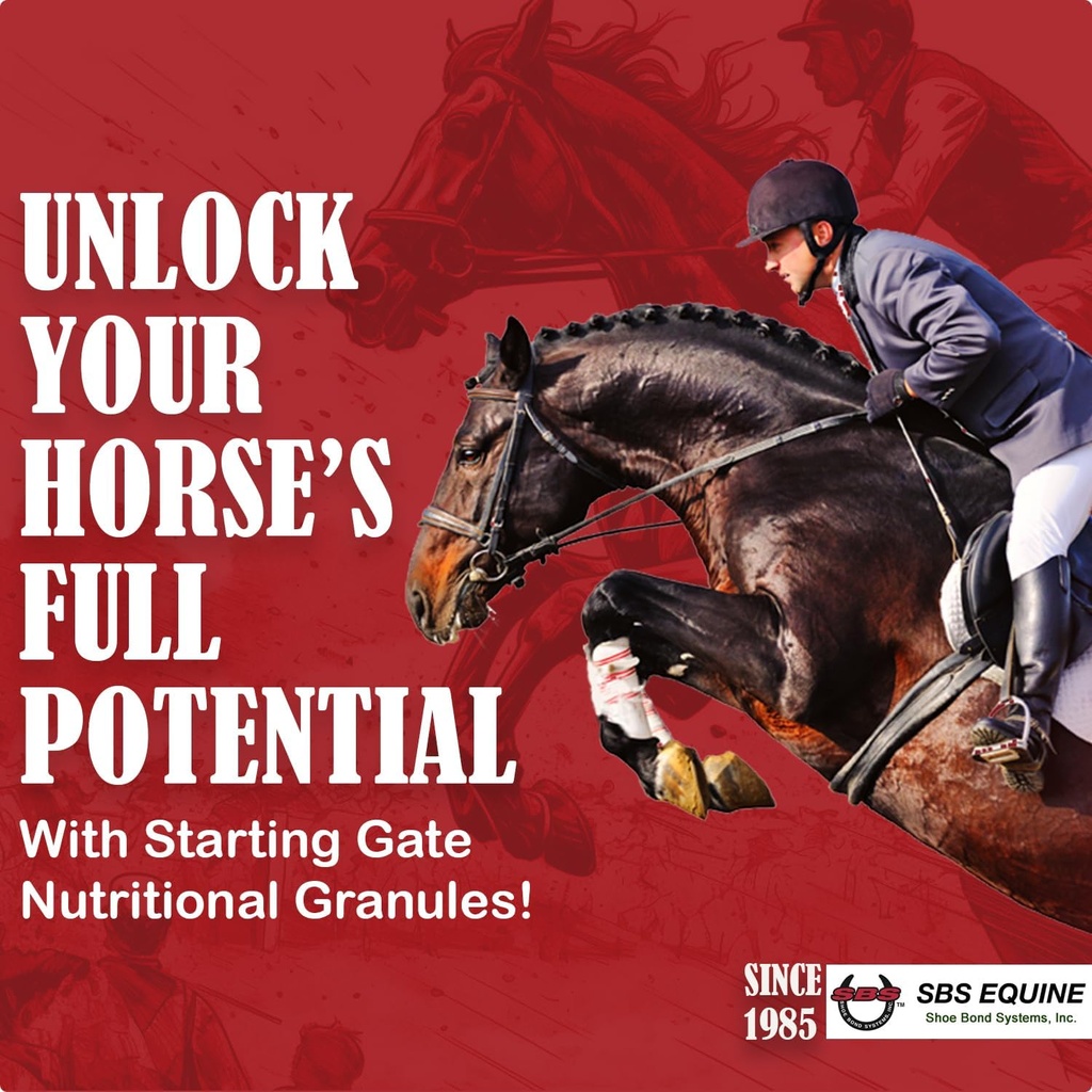 SBS Equine Starting Gate Granule - Cai Stomac Ulcer Tratamentul și Ulcer Ajutor, Cai Supliment Formula Scoop pentru Hrană, Perfect Prep ca un supliment Hoof (5 Gallon)