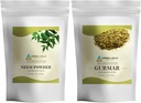 HERBAL HILLS Neem Leaf Powder și Gurmar pulbere Gymnema Sylvestre ambalaj de 2 Combo