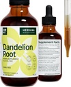 Root Dandelion 4 fl oz Extract lichid - Supliment natural Herbal pentru Curatenie, Functie digestiva & Imunitate - Organic Taraxacum officinale - Dimensiune familiala - Picături mari de potenta - 90 de zile de aprovizionare