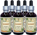 BlackBerry (Zea made in USA) 5x2 fl.oz (5x60 ml)
