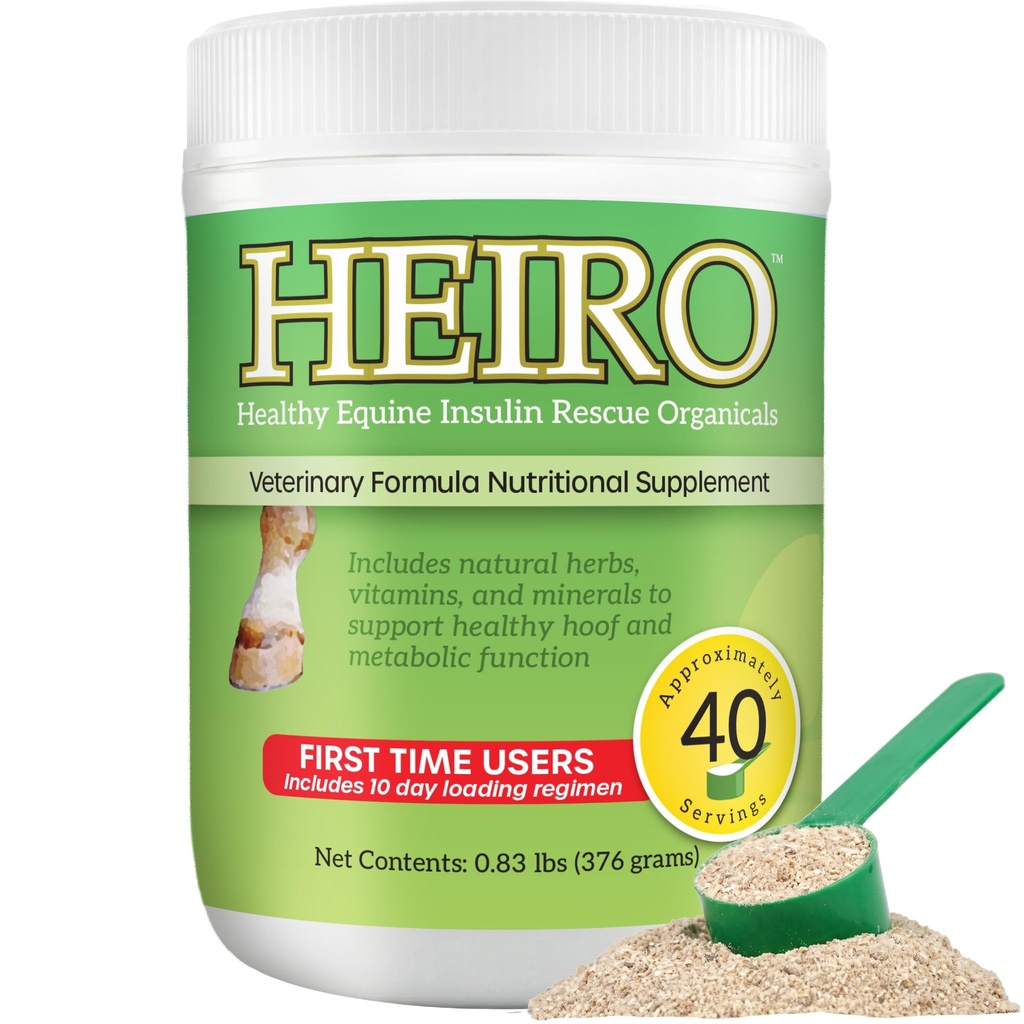 Heiro, 40 de servitori