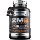 Laboratoare de fier ZM6 