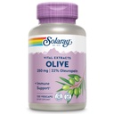 SOLARAY Olive 250mg - Olive Leaf Extract capsule cu 22% Oleuropein, Plus Lemon Balm - Polifenoli Supliment pentru suport Wellness - Vegan, 60-Day Garanție, Lab verificat - 120 Serviri, 120 VegCaps