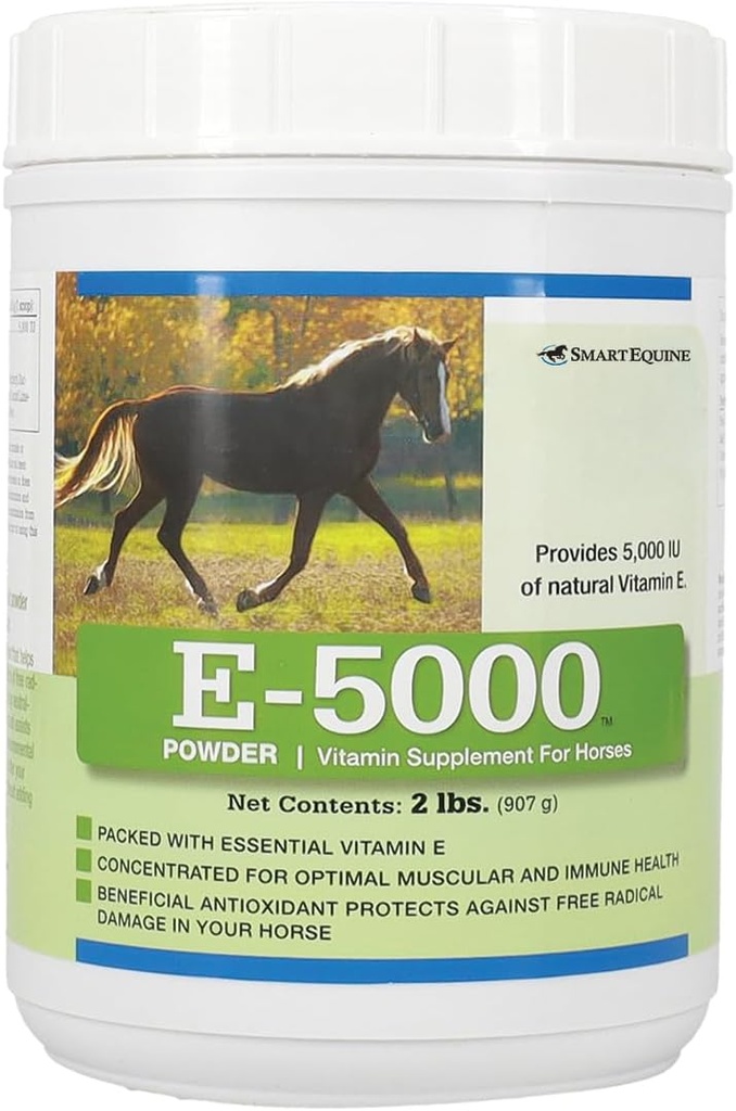 E5000 Powder 