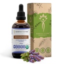 Secrete ale Extractului lichid fără alcool de Bugleweed Tribe Tincture, USDA Organic Bugleweed (Lycopus Virginicus) Herb uscat (4 FL OZ)
