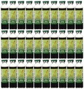 Prince of Peace Red Panax Ginseng Extractum Ultra Putere 30 Flacon (s)