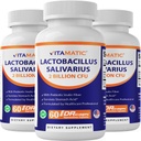 Vitamatic Lactobacillus Salivarius 2 miliarde per capsulă DR - 60 Conte - Suport digestiv - Made with Prebiotic Inulin Fiber (3 Sticle)