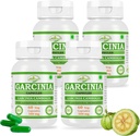 Natural şi pure Herbal Garcinia CAMBOGIA (Garcinia) Extract Capsulele de extract 