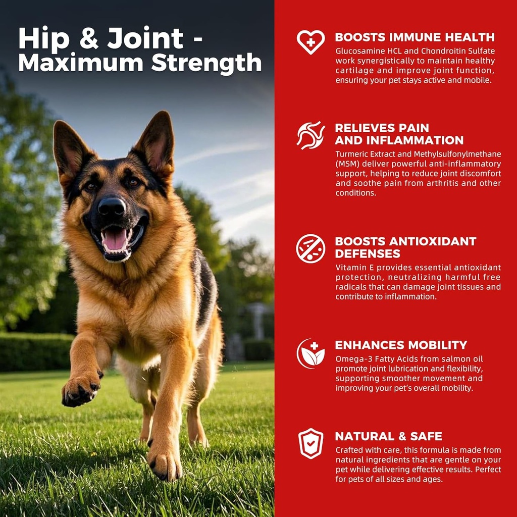 Câine Hip și supliment comun - Dog Pain Relief Anti Flammatory cu glucosamină, Chondroitin, MSM, Turmeric, Vitamina E, Omega 3 - tratează displazie Hip, Artrită - toate mare mic mediu Rasa