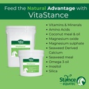 Stance Equitec VitaStatance Vitamina, Minerale și Amino Acid Supliment pentru cai, 28,5 lb