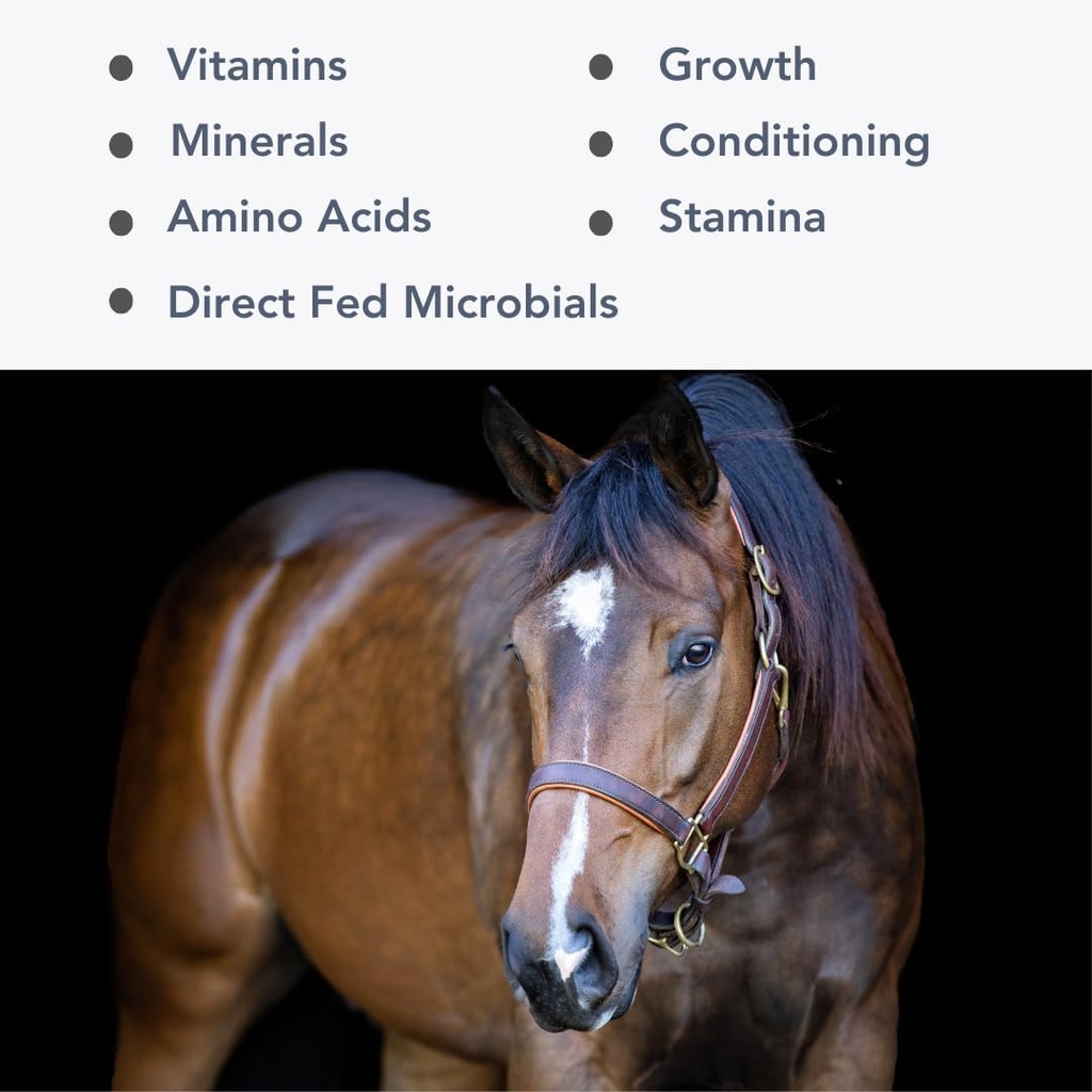 Mega-Mag (25lb) Echilibrat Multi Vitamina / Suplimentul Mineral pentru Diete Alfalfa Hay