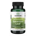 Swanson Spearmint Leaf (Mentha Spicata) - Full Spectrum Herbal Supporting Health & Mild Stomac Issues - Natural Formula Supporting Health & Wellness - (60 Capsule, 400mg Fiecare)