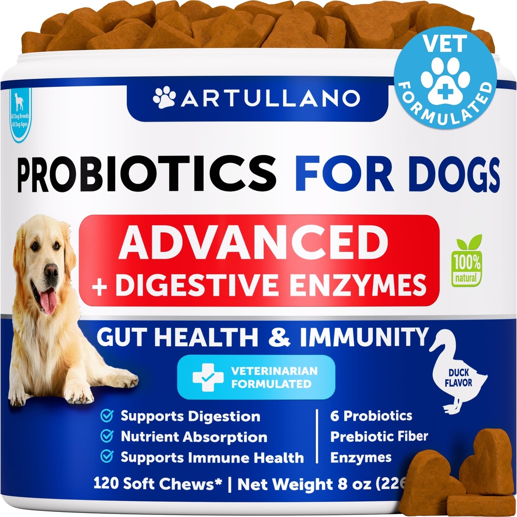 Probiotice pentru câini - Suport Sanatate curajoasa, Itchy Skin, Alergii, Imunitate, Echilibru Drojdie - Probiotice caine si enzime digestive cu prebiotice - Reduce diaree, gaz - 120 Probiotice Chews pentru câini
