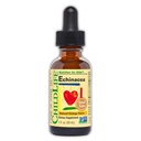 COPILDIFE ESENȚIALE Echinacea pentru copii - Copii Echinacea picături, Tinctură lichidă, Supliment fără alcool pentru copii, Copii mici, Copii - Portocaliu natural, 1 Fl Oz (Pachetul de 1)