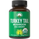 Viteză maximă de performanţă Capsule organice Turcia Coada - Statele Unite ale Americii crescut Made with Real Turkey Tail Mushroom. Sistemul imunitar suportă suplimente naturale de ciuperci pentru imunitate. Extras suplimentar din Vegan
