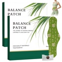 2 Box Herbal Patch Pad Balanta, Mugwort Herbal Navel Patches, Long-Lasting Abdole Confort (1 cutii 5 piese)